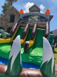 Dinosaur Double Lane Water Slide