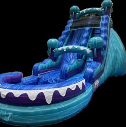 MEdef323f95b0d076cd619080957d725ed 1750103780 Jelly Fish Water Slide