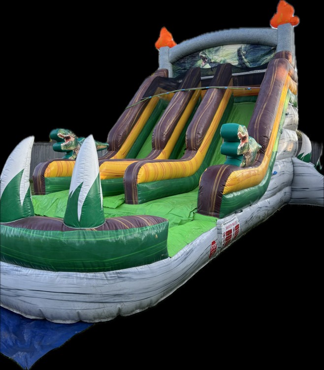 Dinosaur Double Lane Water Slide