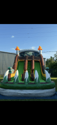 IMG 4245 1752623680 Dinosaur Double Lane Water Slide