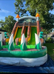 IMG 4246 1752623679 Dinosaur Double Lane Water Slide