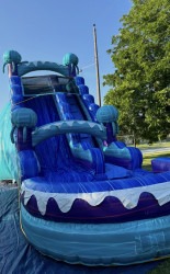 IMG 6158 1767752814 22ft Water slide - Jelly Fish Water Slide