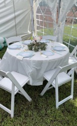 IMG 6200 1768718431 White Resin Chairs Rental - White