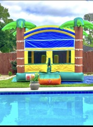 IMG 6348 1768691656 Bounce House Rental - Palm Tree