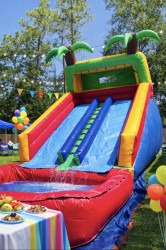 18ft Water Slide - Double Lane Palm Tree Water slide rental