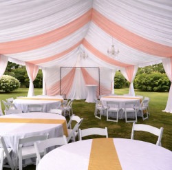 IMG 6779 1771222402 20'x20' Event Tent Rental - White