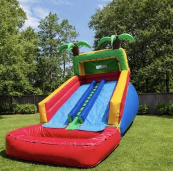 18ft Water Slide - Double Lane Palm Tree Water slide rental